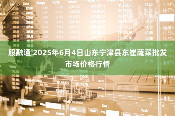 股融通 2025年6月4日山东宁津县东崔蔬菜批发市场价格行情