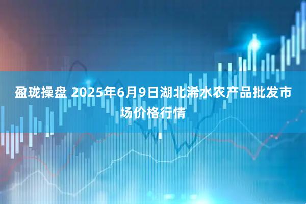 盈珑操盘 2025年6月9日湖北浠水农产品批发市场价格行情