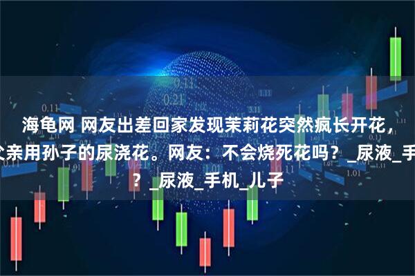 海龟网 网友出差回家发现茉莉花突然疯长开花，原来是父亲用孙子的尿浇花。网友：不会烧死花吗？_尿液_手机_儿子